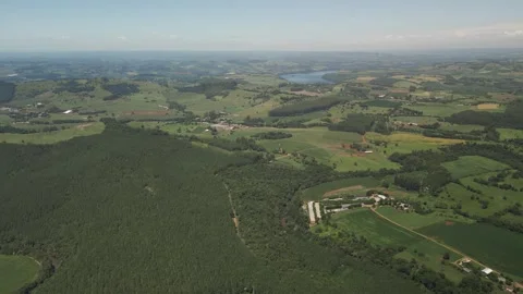 Aerial view of eucalyptus forest, green fields and Uruguai River. Stock Footage 253366803