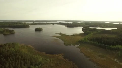 Aerial view of eutrophic bay with dense reed vegetation at a Finnish lake Video stock 68659297