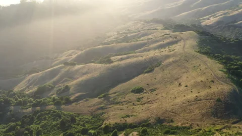 Aerial View of Evening Light on Beautiful Hills in Northern California Vidéo 133016689