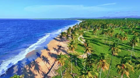 Aerial view of evening sandy beach, palm trees and ocean. Vacation background. Stock Footage 284860296