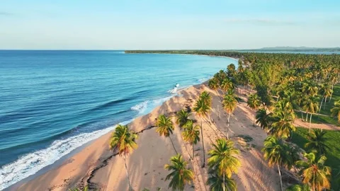 Aerial view of evening tropical palm Mexican beach. Luxurious holiday. Vidéo 252159887