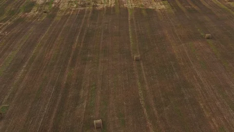 Aerial view Evening view of straw roll in afield Stock Footage 122336998