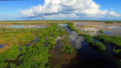 Aerial view of Everglades Swamps on a beautiful winter day, Florida Stock Footage