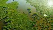 Aerial View Everglades  Wetlands, Florida Stock Footage