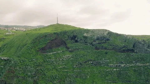 Aerial View Evergreen High Cliff Coastline Stock Footage 72194924