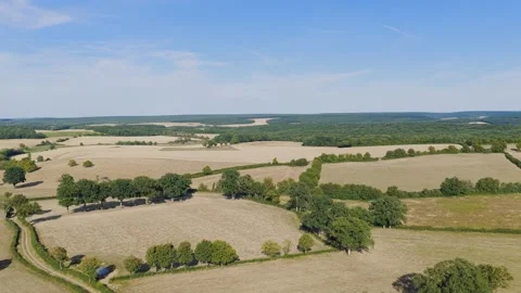 Aerial view of expansive agricultural fields and lush forests in the rural Stock Footage 346668027