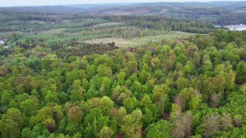 Aerial view of the expansive spring forest landscape near Mhnesee, Germany Stock Footage 340918756