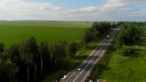 Aerial view. Expensive passes through a field sown agricultural crops. Stock Footage 133321798