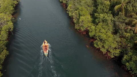Aerial View of Explore Mangrove Forest on the motor boat at Thailand Stockbeeldmateriaal 137130650