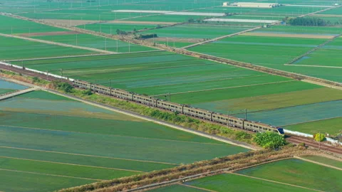 Aerial view of  Express train dashing through  rice fields Stock-Footage 344030162