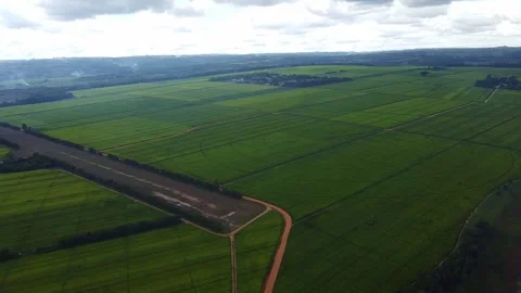 Aerial view of extensive green fields with dirt roads under a cloudy sky Vídeos de archivo 313282293