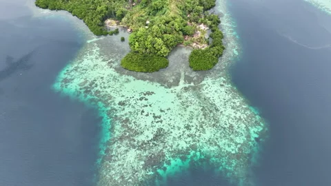Aerial View of Extensive Reef Growing at Edge of Island in Melanesia Stock Footage 231444285