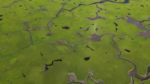 Aerial View of an Extensive Salt Marsh on Cape Cod, Massachusetts Stock Footage 340808349