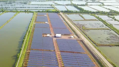 Aerial View of Extensive Solar Panel Farm near Water Bodies 스톡 동영상 311102615