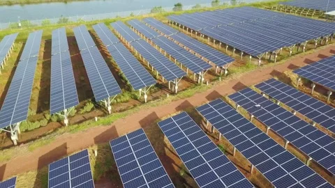 Aerial View of Extensive Solar Panel Farm Installation Stock Footage 311103264