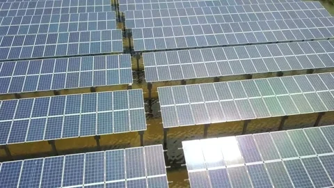 Aerial View of Extensive Solar Panel Farm Generating Renewable Energy Stock Footage 311103577