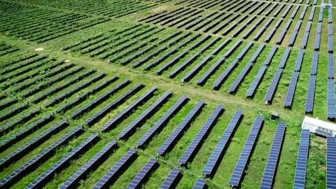 Aerial View of Extensive Solar Panel Farm Installation Stock Footage 311728261