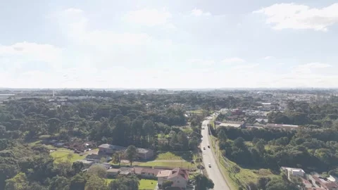 Aerial View of Extensive Urban Forest Between Residential Neighborhoods in .. Stock-Footage 337784810