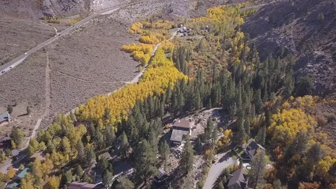 Aerial View of Fall Colors Stockbeeldmateriaal 81539064