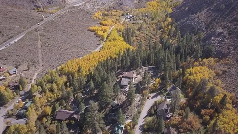 Aerial View of Fall Colors Stock Footage 82055490
