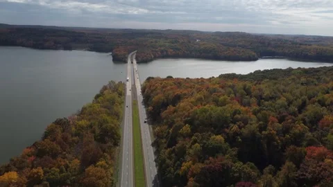 Aerial View of Fall Colors Stock Footage 274752036