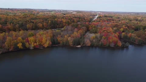 Aerial View of Fall Colors Stock Footage 274752038
