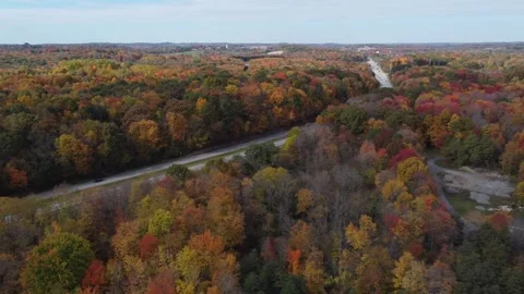 Aerial View of Fall Colors Stock Footage 274752088