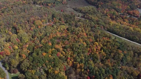 Aerial View of Fall Colors Stock Footage 274752132