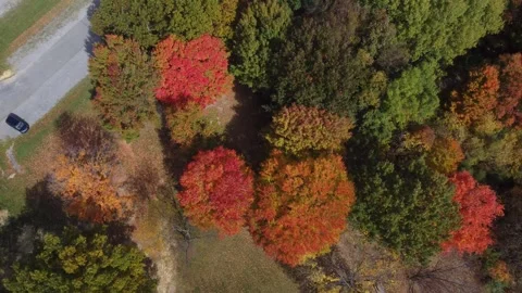 Aerial View of Fall Colors Stock Footage 274752164