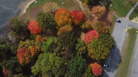 Aerial View of Fall Colors Stock Footage 274752186