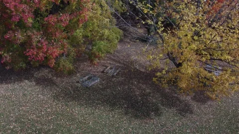 Aerial View of Fall Colors Stock Footage 274752195
