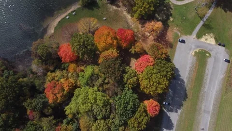Aerial View of Fall Colors Stock Footage 274752197