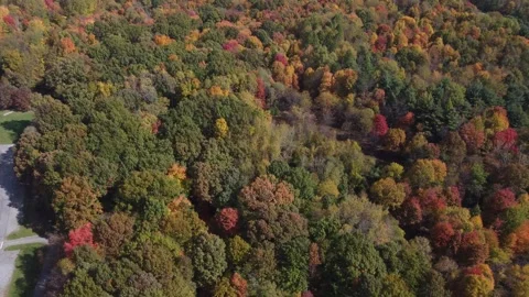 Aerial View of Fall Colors Stock Footage 274752203