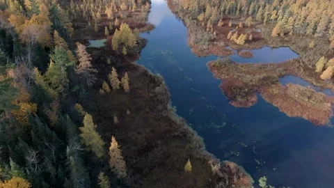 Aerial view of fall colors over a river in a forest. Cinematic Drone LOG Video stock 254728361