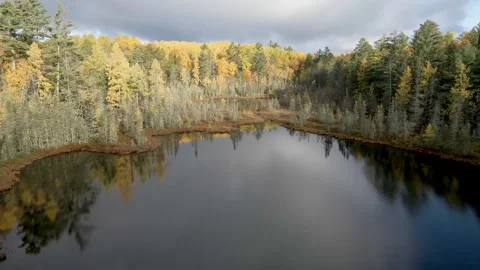 Aerial view of fall colors over a pond in a forest. Cinematic Drone LOG Video stock 254728506