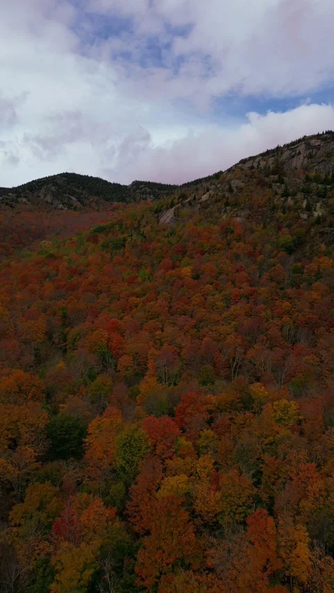 Aerial view of Fall foilage in New England Stock Footage 253594281