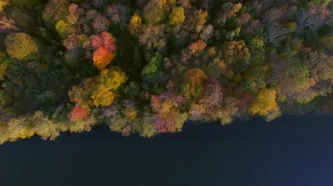 Aerial view of fall foliage Stock Footage 56534500
