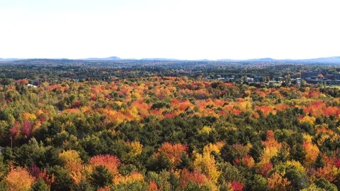 Aerial View of Fall Foliage Stock Footage 97240287