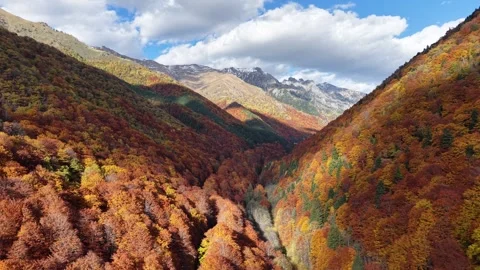 Aerial View of Fall Forest Mountain Valley Stock Footage 332922661