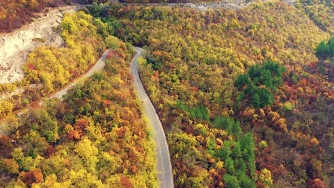 Aerial View of Fall Forest in Sunny Day.  스톡 동영상 119566713