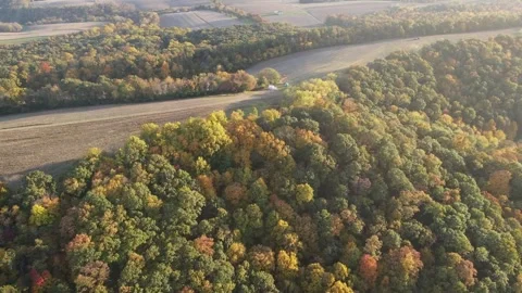 Aerial view of fall trees and corn fields in the mountains of in rural Cent.. 스톡 동영상 243845051