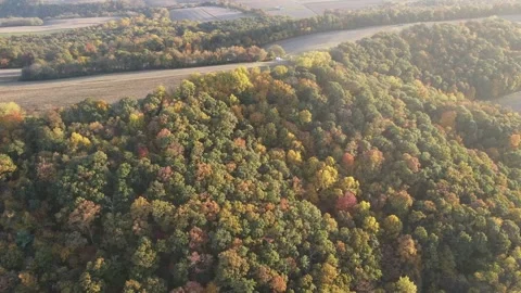 Aerial view of fall trees and corn fields in the mountains of in rural Cent.. 스톡 동영상 243845058
