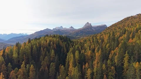 Aerial view of fall trees with Dolomites mountains in the background Stock Footage 321600819