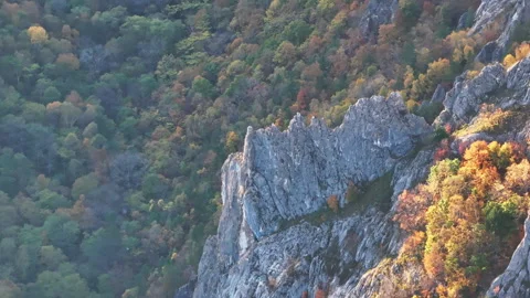 Aerial View of Fall Trees on Mountain Side Video stock 266919728