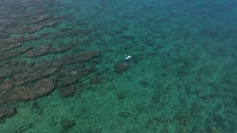 Aerial view of family snorkeling and kayaking on the reefs Tamarin Mauritius Stock Footage