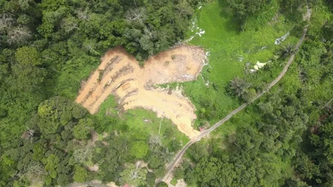 Aerial view of farm and forest in Pahang Stock Footage 149111146