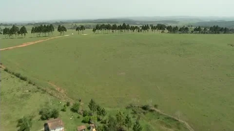 Aerial view of farm area Stock Footage 12013200