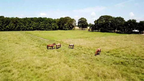 Aerial view of farm equipment Stock Footage 124662000