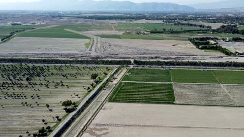Aerial View of Farm Fields and Gardens in Nangarhar Video stock 274472636