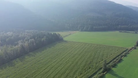 Aerial View of Farm Fields and Forested Mountain Stock Footage 318817751